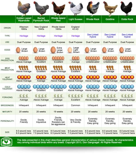 chicken breeds list comparison chart